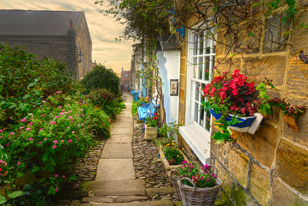 Robin Hoods Bay Holiday Cottages Picture Board by Alison Chambers
