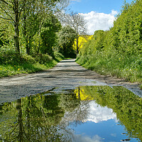 Buy canvas prints of Country Lane Puddle by Alison Chambers
