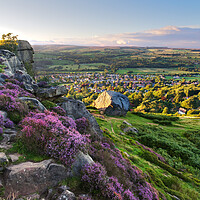 Buy canvas prints of Cow and Calf Ilkley Moor by Alison Chambers
