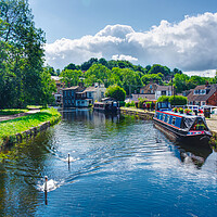 Buy canvas prints of Rodley Barge Swans by Alison Chambers