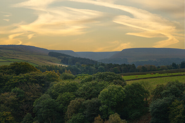 Holme Valley Landscape  Picture Board by Alison Chambers