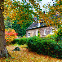 Buy canvas prints of Autumn in Wentworth Village by Alison Chambers