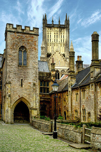Wells Cathedral and Vicars Close Picture Board by Alison Chambers