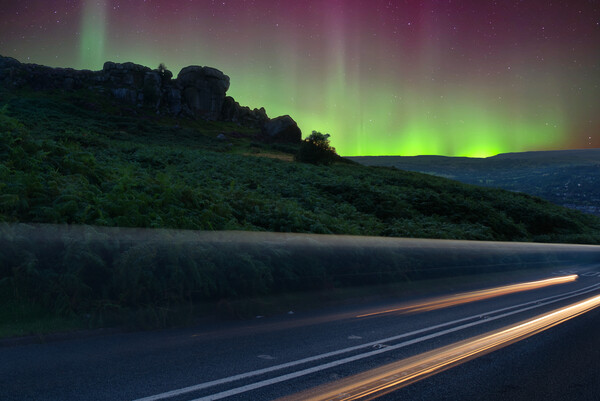 Ilkley Moor Cow and Calf Aurora Borealis Picture Board by Alison Chambers