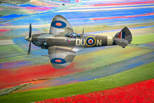 Spitfire Red White and Blue Picture Board by Alison Chambers