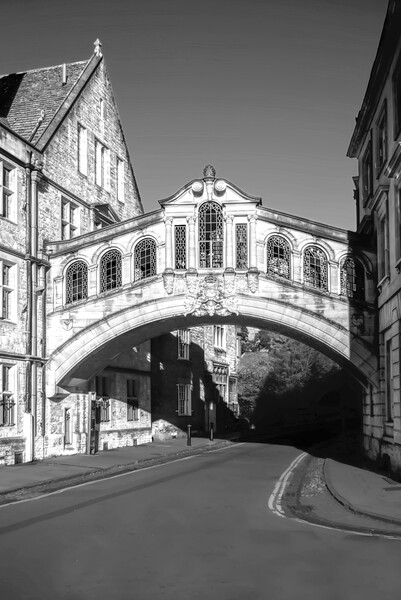 Oxford Bridge Of Sighs Picture Board by Alison Chambers