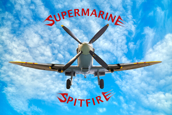 Supermarine Spitfire  Picture Board by Alison Chambers
