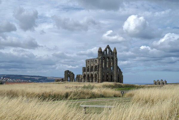 Whitby Abbey Picture Board by Alison Chambers