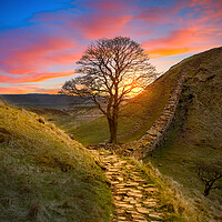 Buy canvas prints of Sycamore Gap  by Alison Chambers