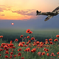 Buy canvas prints of Spitfire Poppy Flight by Alison Chambers