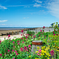 Buy canvas prints of Whitstable Coastal Flowers by Alison Chambers