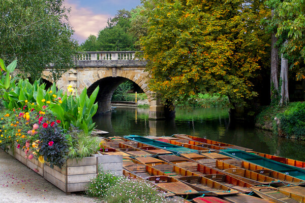 Magdalen Bridge Oxford Picture Board by Alison Chambers