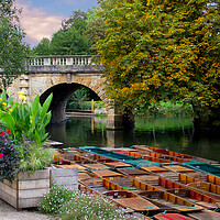 Buy canvas prints of Magdalen Bridge Oxford by Alison Chambers