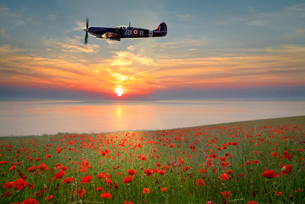 Spitfire Sunset Poppies Picture Board by Alison Chambers