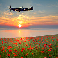 Buy canvas prints of Spitfire Sunset Poppies by Alison Chambers