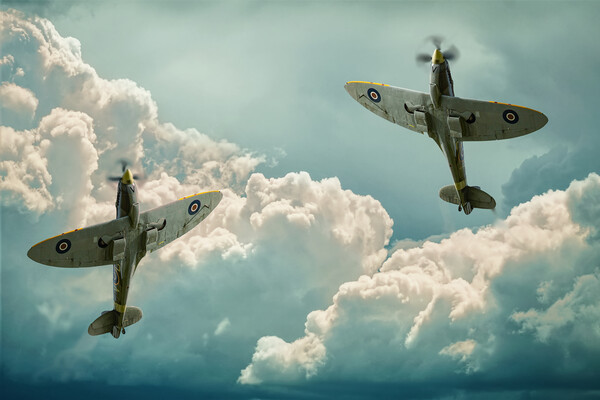 Graceful Spitfires Picture Board by Alison Chambers