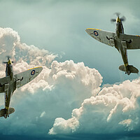 Buy canvas prints of Graceful Spitfires by Alison Chambers