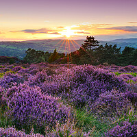 Buy canvas prints of Ilkley Moor Sunset by Alison Chambers