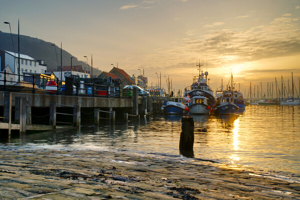 Scarborough Harbour Sunrise Picture Board by Alison Chambers