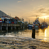 Buy canvas prints of Scarborough Harbour Sunrise by Alison Chambers