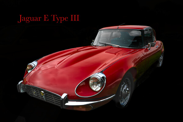 E Type Jaguar  Picture Board by Alison Chambers