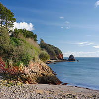 Buy canvas prints of Beacon Cove Devon by Alison Chambers