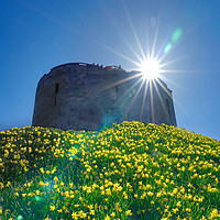 Buy canvas prints of Cliffords Tower Daffodils  by Alison Chambers
