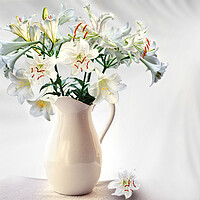 Buy canvas prints of Lilies by Alison Chambers