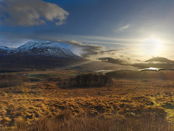 Loch Tulla Viewpoint Scotland  Picture Board by Alison Chambers