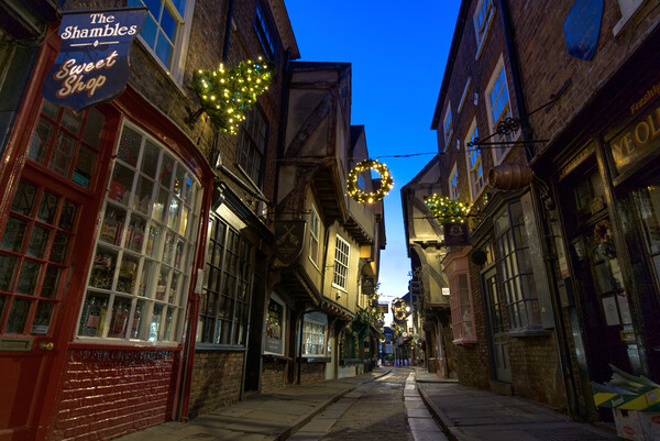 York Shambles Dawn Picture Board by Alison Chambers