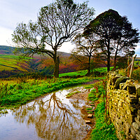 Buy canvas prints of Holme Valley Tree Reflection  by Alison Chambers