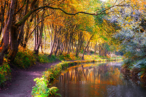 Huddersfield Narrow Canal in Autumn  Picture Board by Alison Chambers