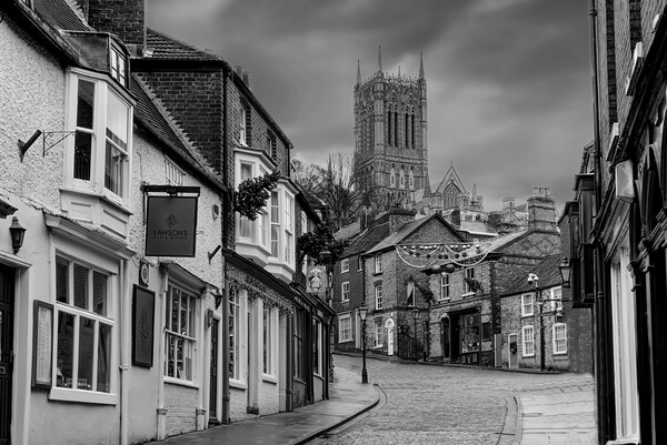 Lincoln Cathedral and Cobbled Streets Picture Board by Alison Chambers
