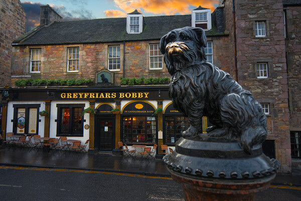 Greyfriars Bobby Edinburgh  Picture Board by Alison Chambers