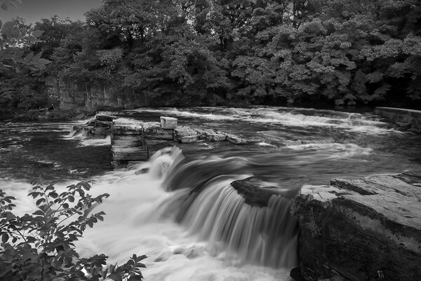 Richmond Falls BW Picture Board by Alison Chambers