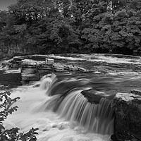 Buy canvas prints of Richmond Falls BW by Alison Chambers