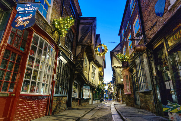 York Shambles  Picture Board by Alison Chambers