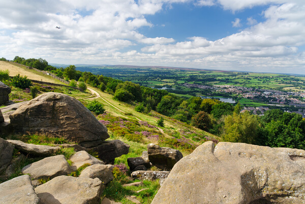 Otley Chevin Picture Board by Alison Chambers