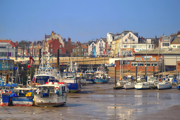 Bridlington Harbour  Picture Board by Alison Chambers