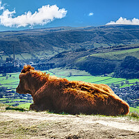 Buy canvas prints of Enjoying the View From Mam Tor by Alison Chambers