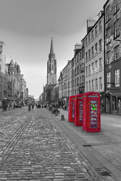 Royal Mile Edinburgh  Picture Board by Alison Chambers