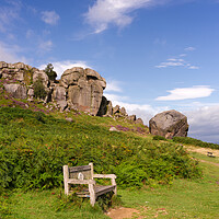 Buy canvas prints of Cow and Calf Ilkley Moor by Alison Chambers