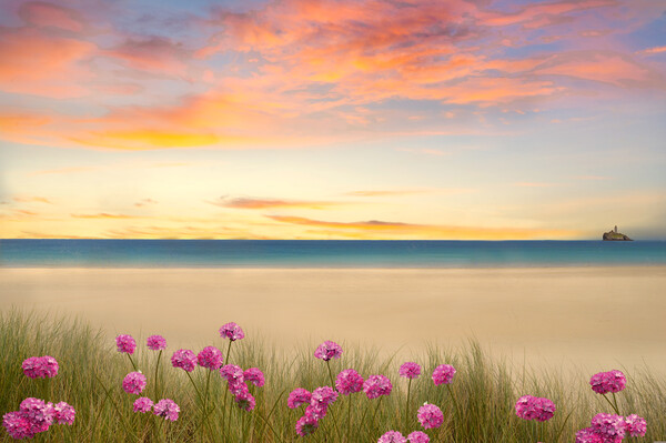 The Beautiful Cornish Coast Picture Board by Alison Chambers