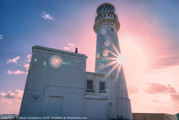 Flamborough Lighthouse  Picture Board by Alison Chambers