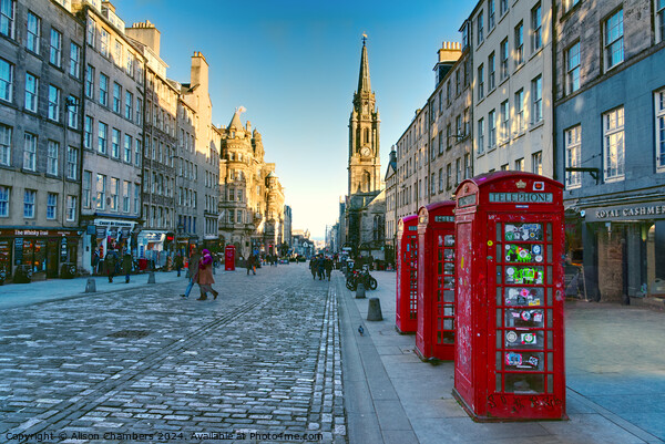 The Royal Mile Edinburgh  Picture Board by Alison Chambers