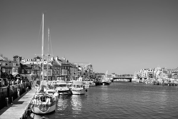 Weymouth Harbour BW Picture Board by Alison Chambers