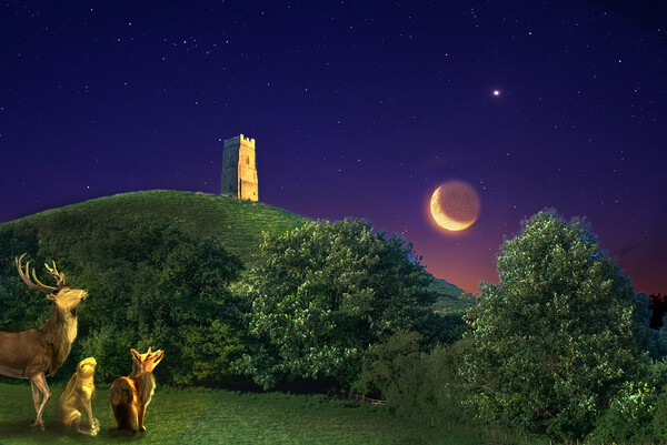 Glastonbury Tor Moonstruck  Picture Board by Alison Chambers