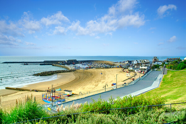 Lyme Regis Dorset Picture Board by Alison Chambers