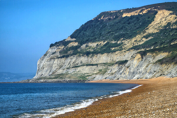 Golden Cap Dorset Picture Board by Alison Chambers