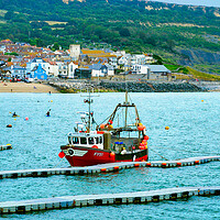 Buy canvas prints of Lyme Regis Boat by Alison Chambers